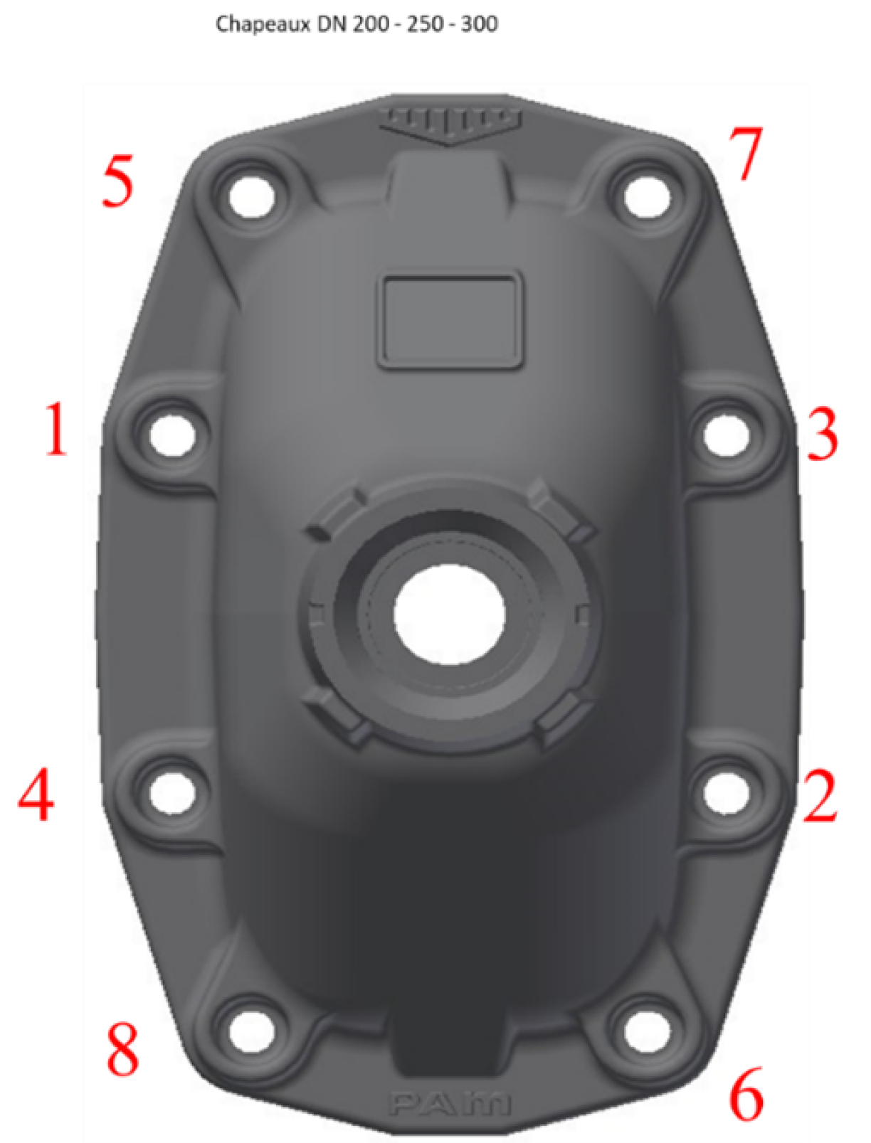 TI_V_EURO20New-ChapeauDN200-300_00000.png