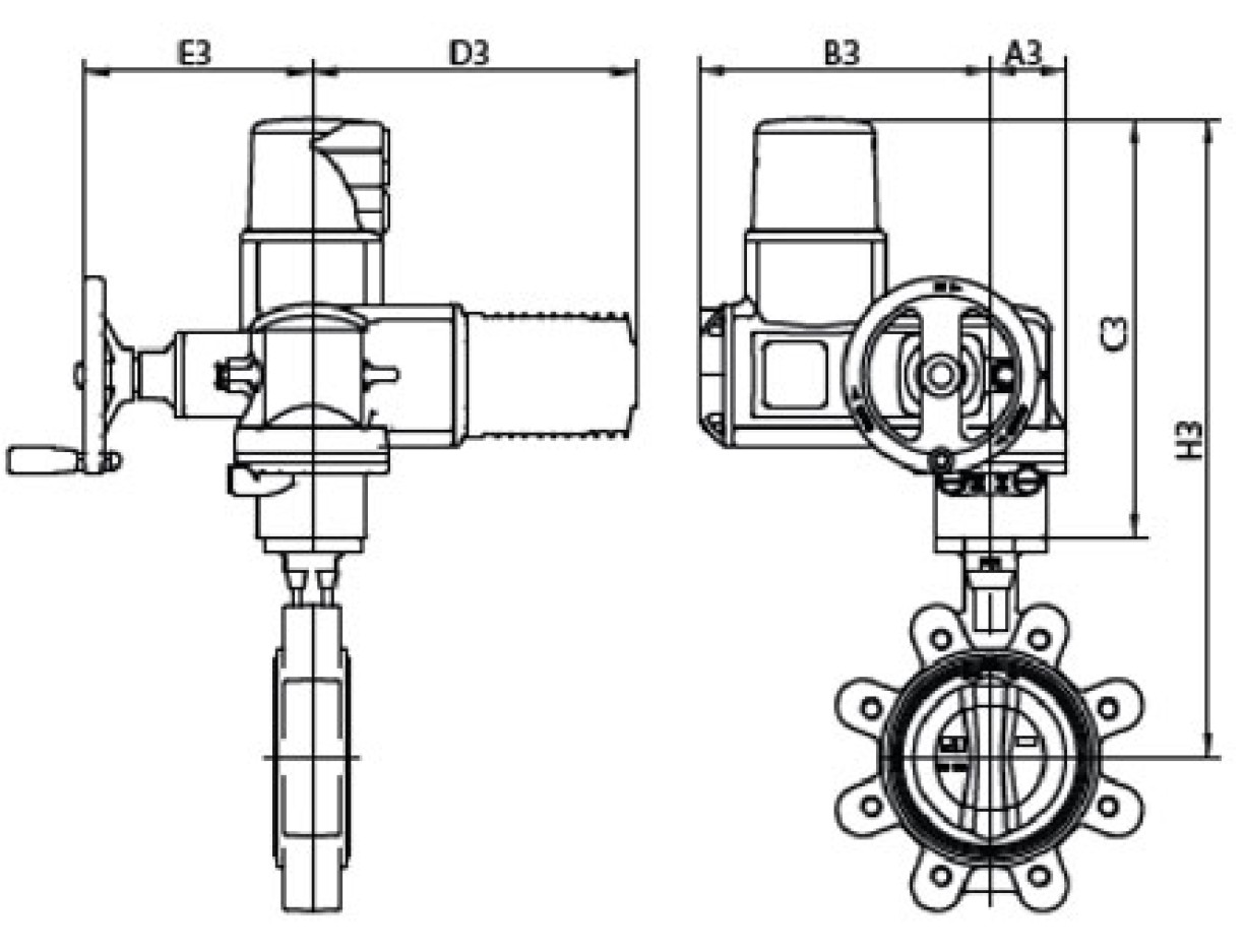 Motorisee