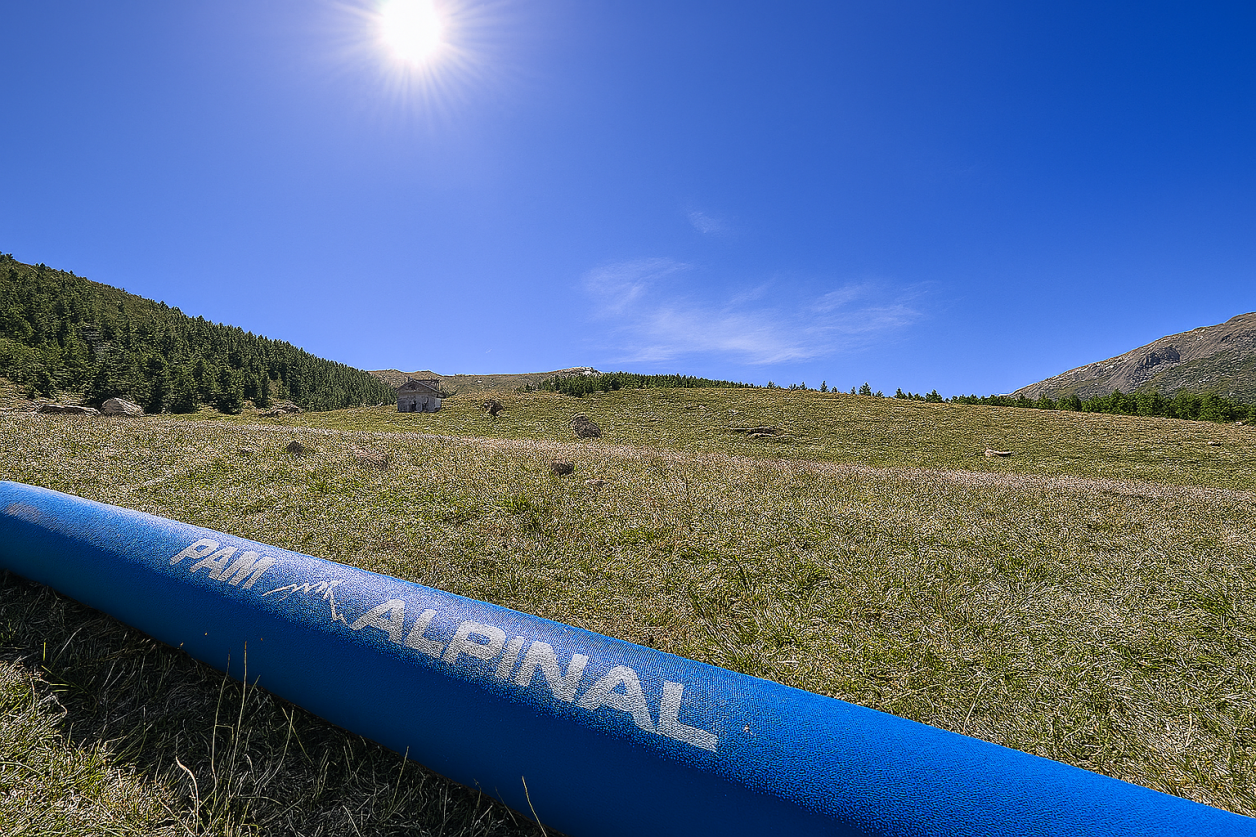 ALPINAL