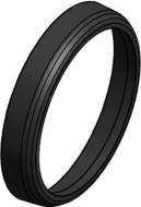 BIOGAN Ring 