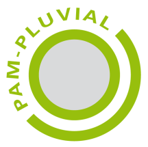 Logo Pluvial