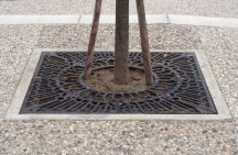Tree Grates