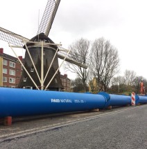 NATURAL NL