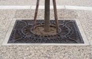 Tree Grates