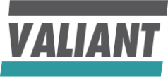 Valiant logo