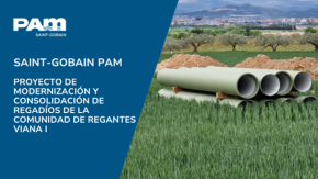 NDP PAM IRRIGAL VIANA