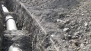 obra guaro