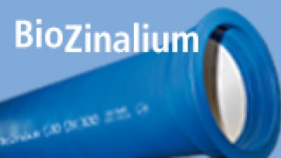 logo_biozinalium