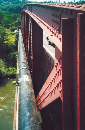 ISOPAM image