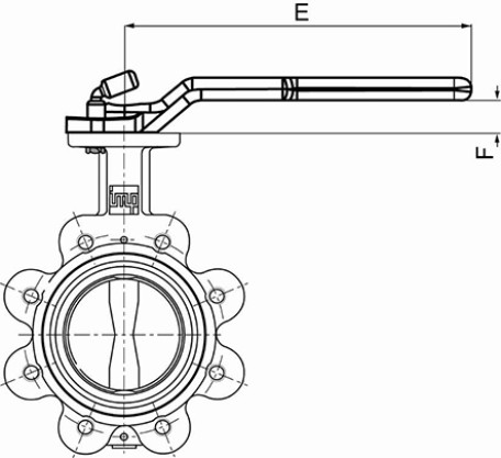 Lug butterfly valve - Lever operated