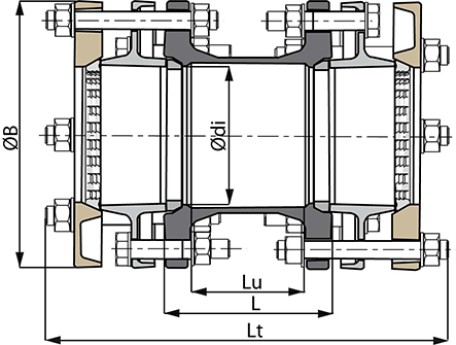 Manchon_NAT-ALP_schema