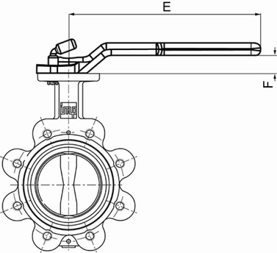 Lug butterfly valve - Lever operated