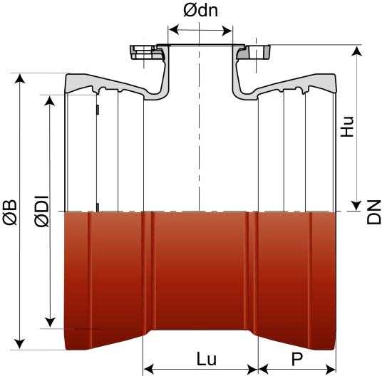 Té Integral Universal Standard