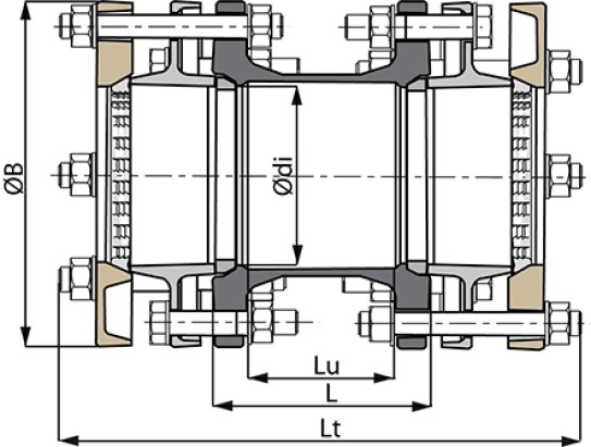 Manchon_NAT-ALP_schema