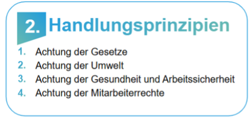 Handlungsprinzipien